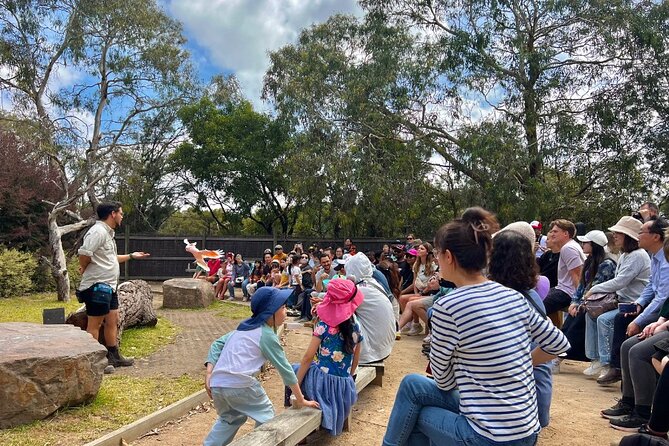 Phillip Island Penguins & Wildlife Day Tour from Melbourne - A long day made easier by the guide