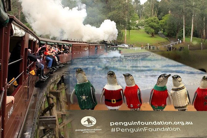 Phillip Island Penguins & Wildlife Day Tour from Melbourne - Why the timing stretches from morning to midnight