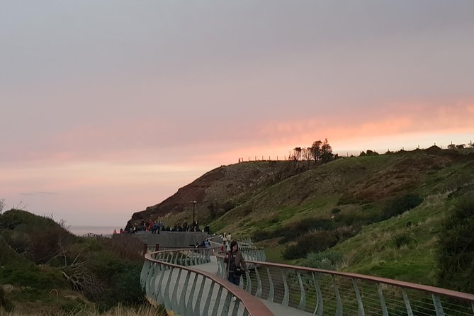 Phillip Island Private Experience - Wildlife beyond the scheduled stops