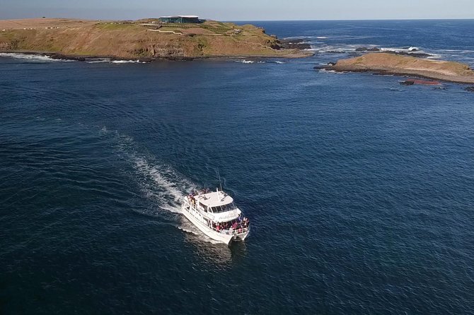 Phillip Island Seal-Watching Cruise - The ride to Seal Rocks