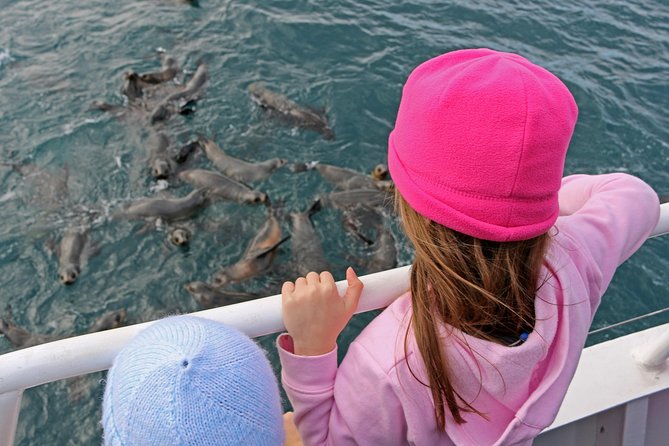 Phillip Island Seal-Watching Cruise - Afternoon tea on the return ride