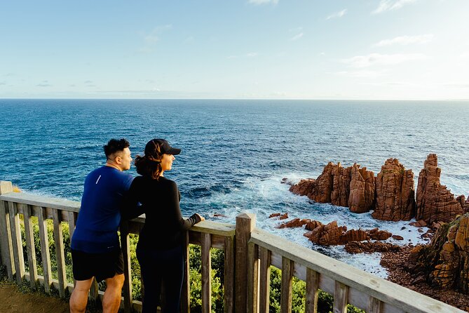 Phillip Island Tour - Koala's, Wallabies & Little Penguins. - What the $116.19 price covers