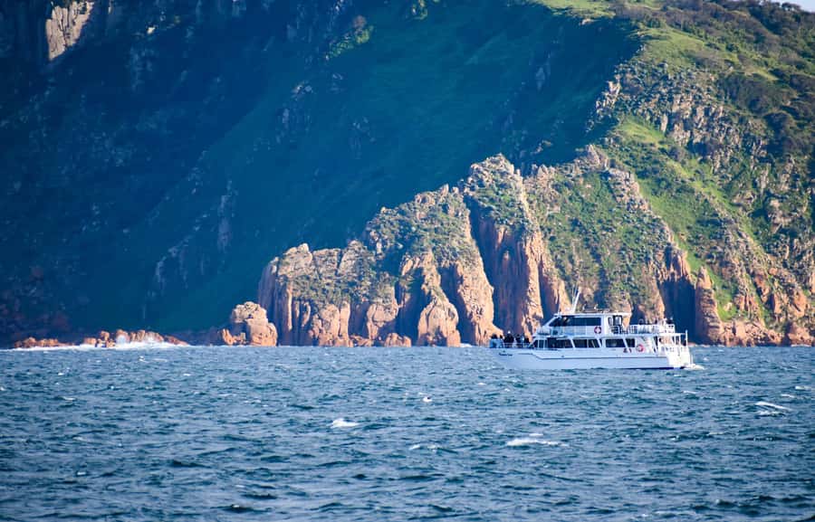 Phillip Island: Whale Watching Boat Tour - What the crew adds to the outing