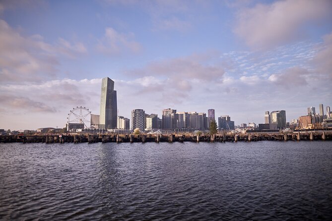 Port of Melbourne and Docklands Sightseeing Cruise - Polly Woodside and the older port story