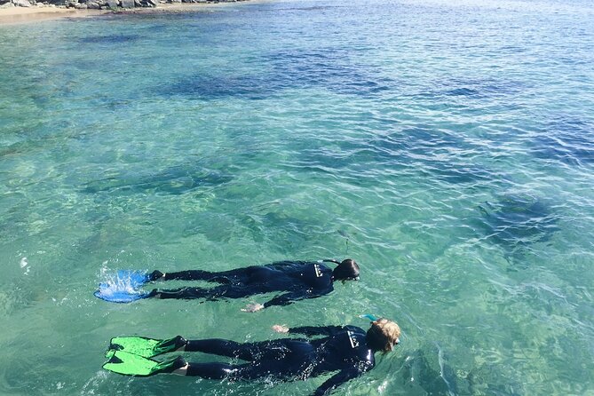 Port Phillip Bay Snorkeling with Sea Dragons - Starting at Bayplay With a Short Water Lesson