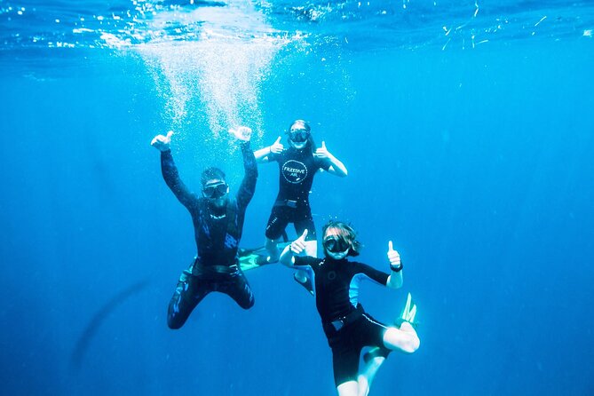 Port Phillip Bay Snorkeling with Sea Dragons - The Gear and Comfort Level