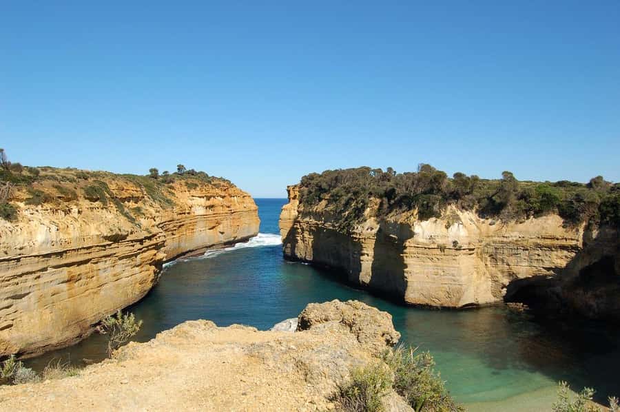 PREMIUM Great Ocean RD Tour REVRS-Luxry SML GRP-Hotel PickUP - Wildlife stops at Kennett River and beyond
