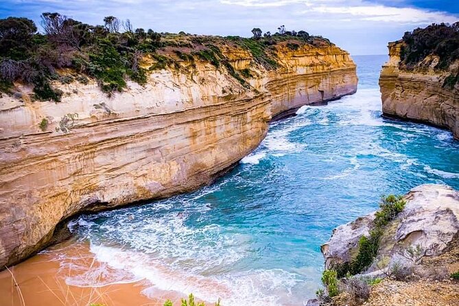 Premium Small Group Great Ocean Road & Wildlife with Lunch - Why the small minibus matters on a 12-hour day