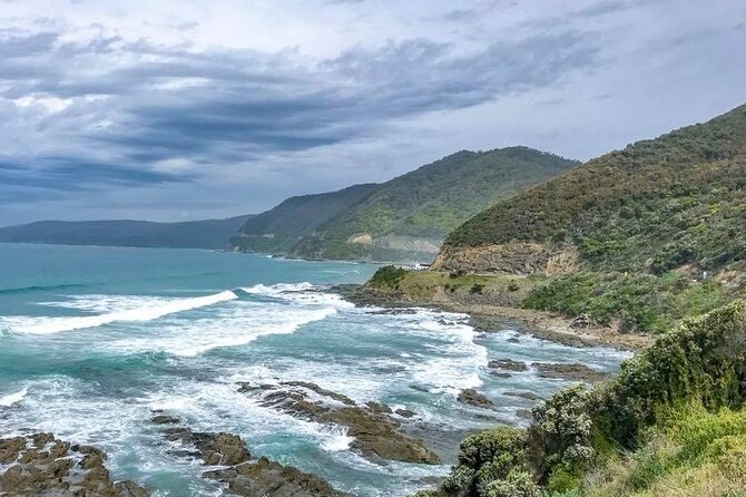Premium Small Group Great Ocean Road & Wildlife with Lunch - Otway wildlife adds a welcome change of pace