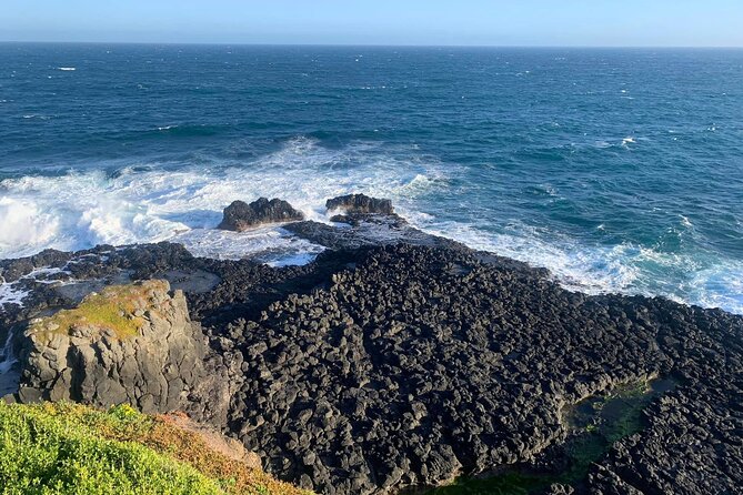 Premium Small Group Philip Island eco Tour - Woolamai Beach when the schedule allows
