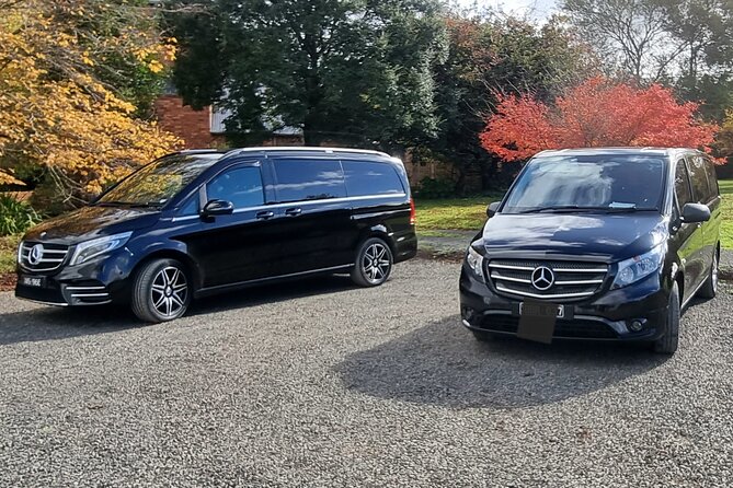 Private and Customised Great Ocean Road and Luxury Tour - Why a private Great Ocean Road tour can be worth the price