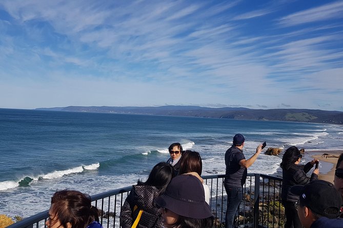 Private and Customised Great Ocean Road and Luxury Tour - Teddy’s Lookout delivers the big coastal photograph