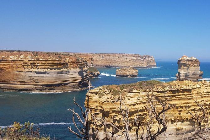 Private and Customised Great Ocean Road and Luxury Tour - Split Point Lighthouse and the first coastal views