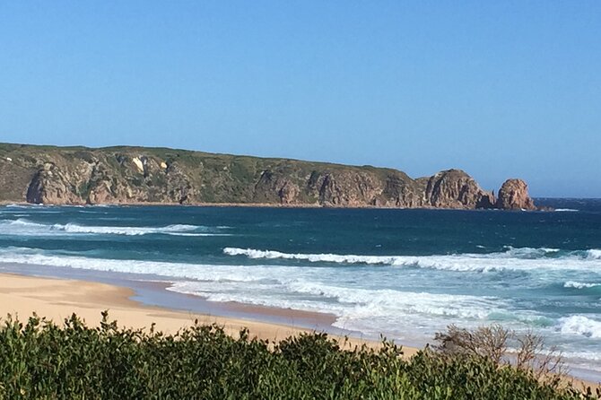 Private custom Tour of Phillip Island With Penguin Parade - What the private guide adds