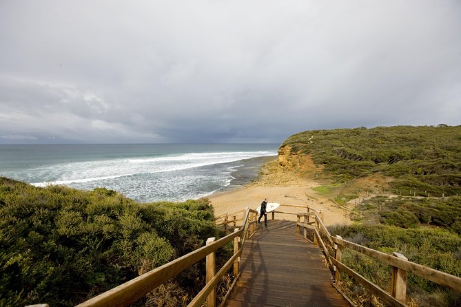 Private Great Ocean Road and Twelve Apostles Tour from Melbourne - Kennett River for koalas and native birds