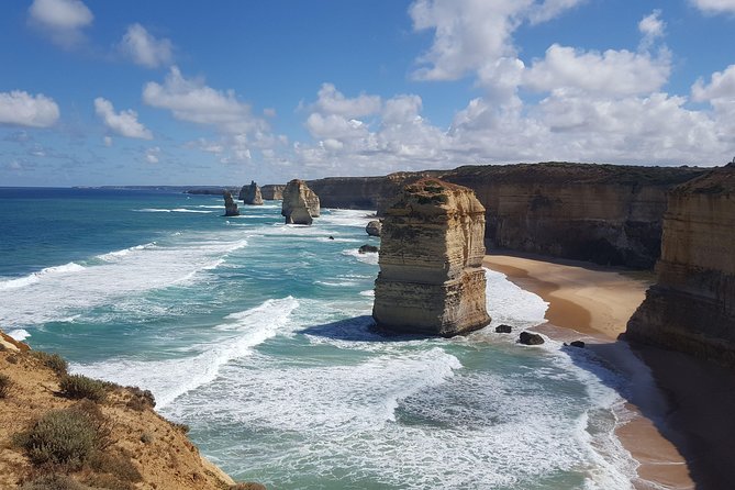 Private Great Ocean Road Day Trip from Melbourne - Apollo Bay is the sensible lunch break