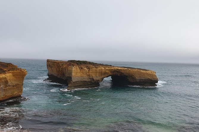 Private Great Ocean Road Day Trip from Melbourne - The Otways trade ocean views for giant ferns