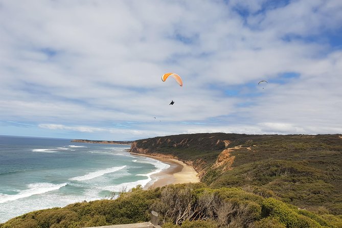 Private Great Ocean Road Day Trip from Melbourne - Is $448.99 per person good value?