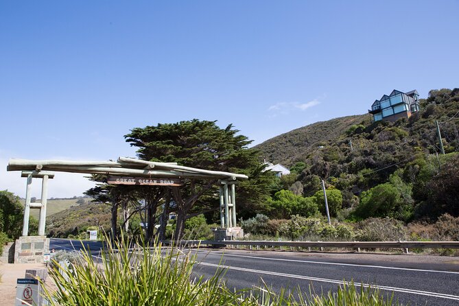 Private Great Ocean Road - The Ultimate Aussie Adventure - Searching for koalas, kangaroos, parrots, and echidnas