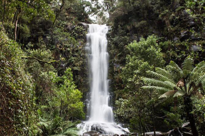 Private Great Ocean Road - The Ultimate Aussie Adventure - Torquay, Bells Beach, and Australia’s surf coast