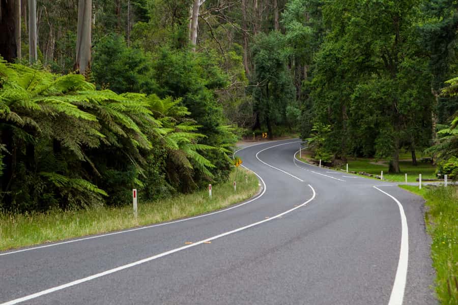 Private Great Ocean Road Tour - Maits Rest Rainforest after lunch