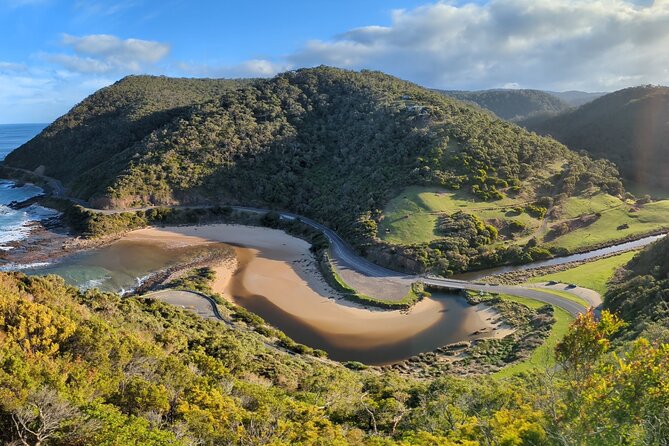 Private Great Ocean Road Tour (overnight option) - The Otway drive changes the scenery on day two