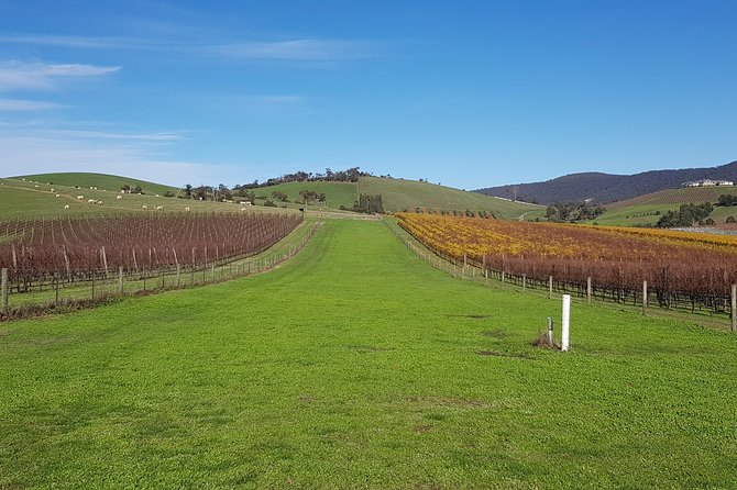 Private, Luxury and Tailored Yarra Valley Wine Tour - Key points at a glance