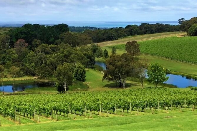 Private Mornington Wine Tour Small Group - The return drive is part of the value
