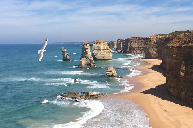 [PRIVATE TOUR] 12 Apostles | Great Ocean Road | Day Trip - Why a private Great Ocean Road day works well