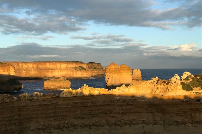 [PRIVATE TOUR] 12 Apostles | Great Ocean Road | Day Trip - Kennett River for koalas and birds