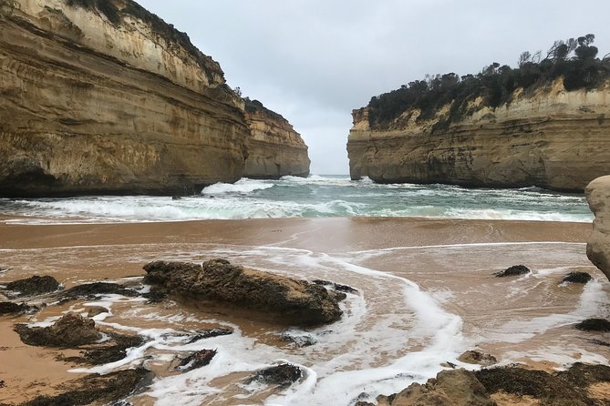 [PRIVATE TOUR] 12 Apostles | Great Ocean Road | Day Trip - Four hours on the Great Ocean Road