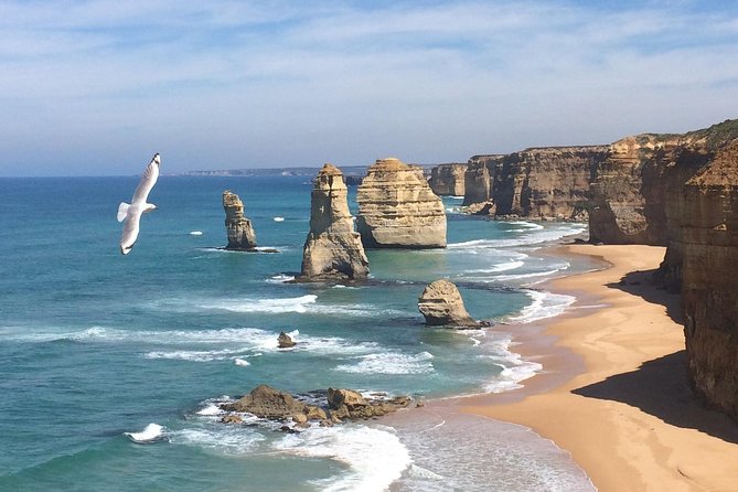 [PRIVATE TOUR] Express Great Ocean Road | Day Trip - Key points at a glance
