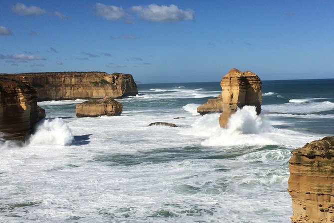 [PRIVATE TOUR] Express Great Ocean Road | Day Trip - The guide can make or break this itinerary