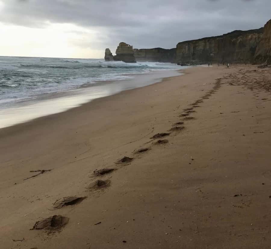 Private Tour: Great Ocean Road - Twelve Apostles - Loch Ard Gorge provides a quieter finish