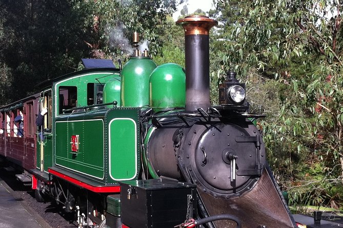 [Private Tour] Healesville Sanctuary Wildlife & Puffing Billy Steam Train - Who will enjoy this tour most