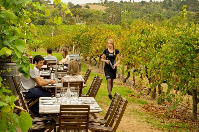 [PRIVATE TOUR] Mornington Peninsula Hot Springs | Winery & Sightseeing Tour - Why this Mornington Peninsula day works