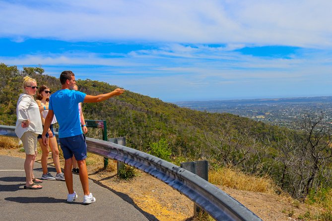 [PRIVATE TOUR] Mornington Peninsula Hot Springs | Winery & Sightseeing Tour - Who should book this experience?