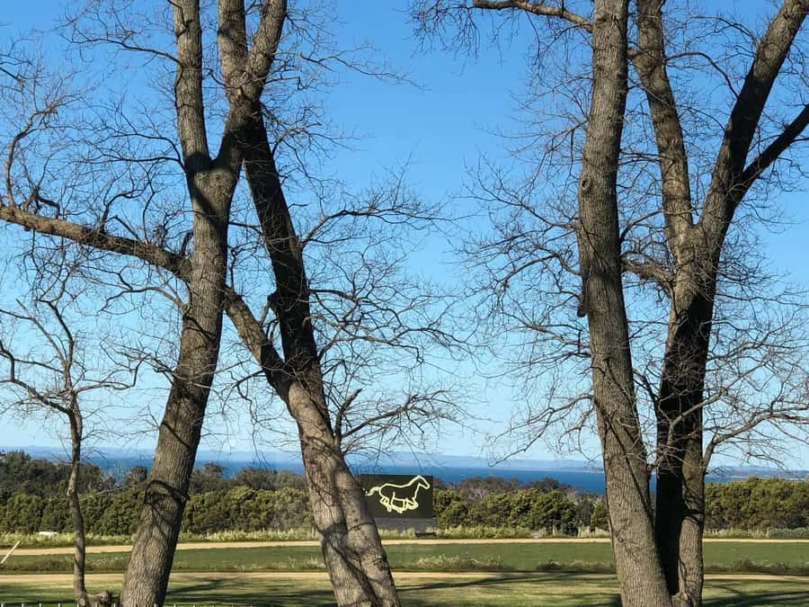 Private Tour: Mornington Peninsula Wine, Beer & Hotsprings - Why this private Mornington Peninsula day works