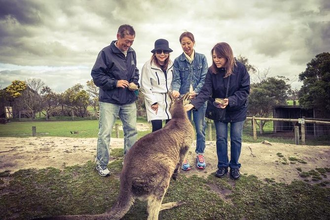 [Private Tour] “Penguin Parade” Phillip Island Tour. - Making sense of the $645.52 price