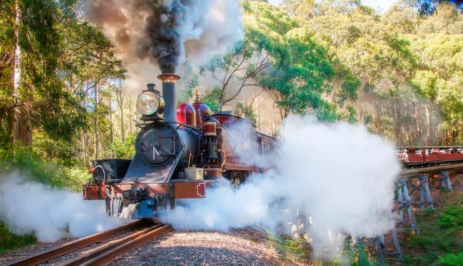 Private Tour to Dandenong Ranges & Puffing Billy Steam Train - Key points to know before booking