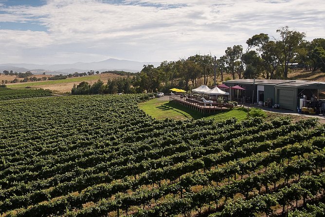Private Tour: Yarra Valley Wineries with Wine Tastings - Practical details before you reserve