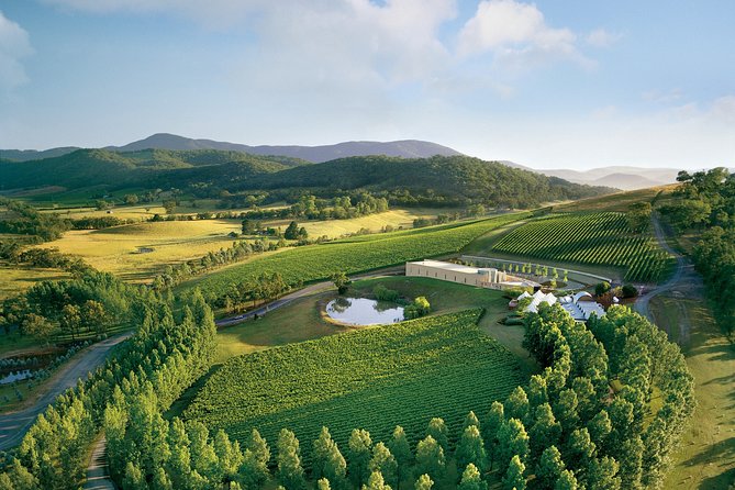 [PRIVATE TOUR] Yarra Valley Winery | Day Tour - Yarra Yering for serious dry reds
