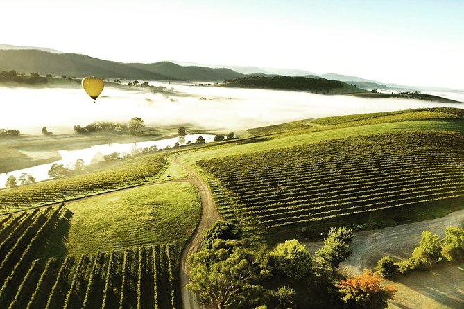 [PRIVATE TOUR] Yarra Valley Winery | Day Tour - What $860.69 means for your group