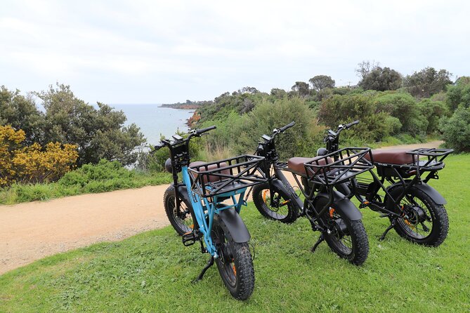 Private Wine Tasting Tour in Mornington Peninsula with Lunch - Why private transport matters here