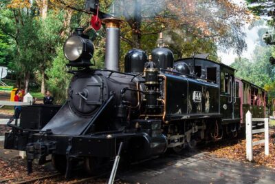 Puffing Billy And Healesville Sanctuary Scenic Tour