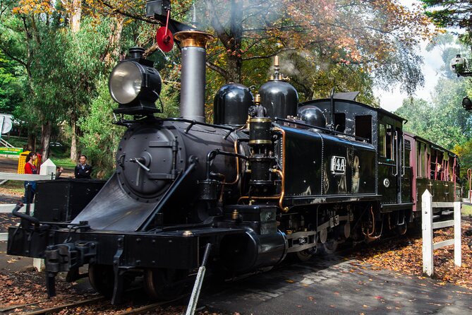 Puffing Billy And Healesville Sanctuary Scenic Tour - From The Hotel Windsor to the Dandenong Ranges