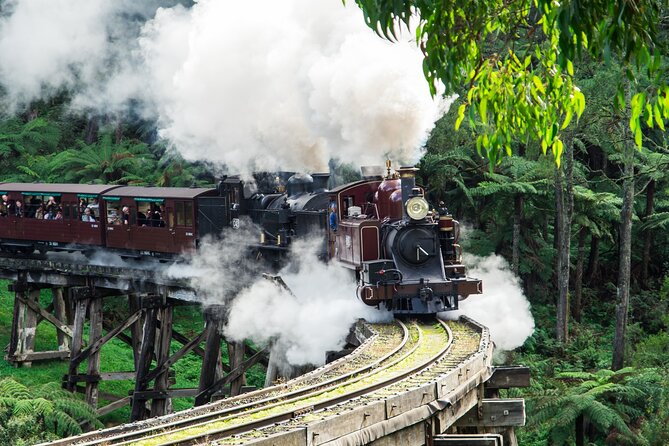 Puffing Billy And Phillip Island Penguin Parade Bus Tour - Key points at a glance
