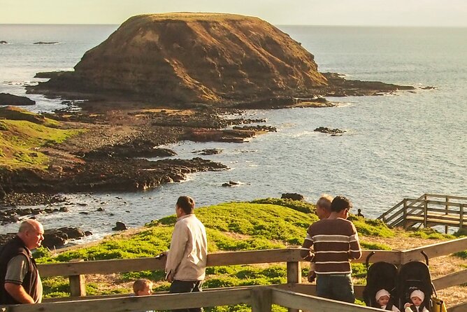 Puffing Billy And Phillip Island Penguin Parade Bus Tour - Why this tour works for a Melbourne visit
