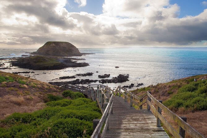 Puffing Billy And Phillip Island Penguin Parade Bus Tour - Waiting for the little penguins at sunset