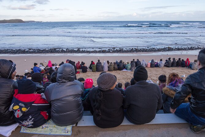 Puffing Billy And Phillip Island Penguin Parade Bus Tour - The real cost of an $171.42 day